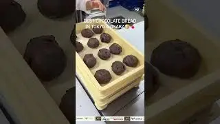 Fluffiest Chocolate Bread for Your Breakfast