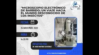 Microscopio electrónico de barrido, un viaje hacia el mundo desconocido de los insectos