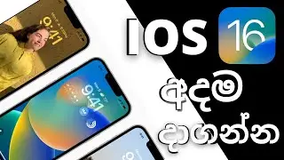 How to Update to iOS 16 - Tips Before Installing | Sinhala