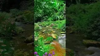 #naturevideo   #shorts #shortsvideo  #statusvideo #statusvideo #trending #naturevideo #relaxingmusic