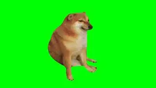 Cheems Walking Green Screen || 4k/Ultra Hd || Cheems Meme