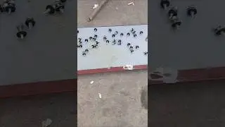 Красим саморезы