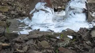 High Heeled Boots Stuck in Glue