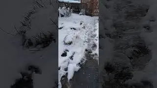 всем привет ,у меня опять пришла зима !!!!