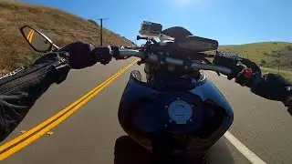 Getting Wild on the FZ-09