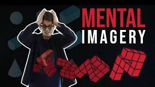 Mental Imagery
