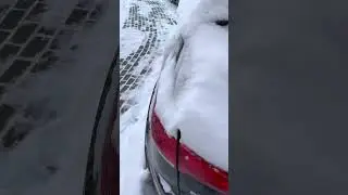 После морозов завожу ДИЗЕЛЬ🚙✊ 2 недели машина стояла …