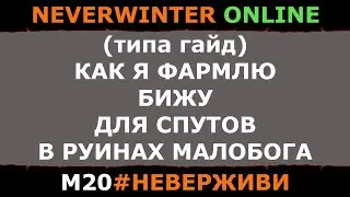 (типа гайд) ФАРМ БИЖИ ДЛЯ СПУТНИКОВ | Neverwinter м20 увлекательный геймплей 