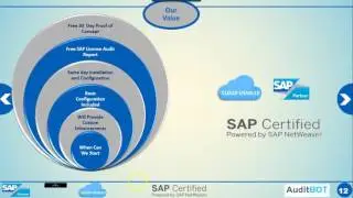 SAP SOD Risk anlaysis- Auditbot