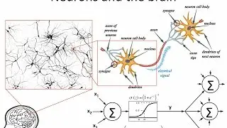 Neural Networks 4: McCulloch & Pitts neuron