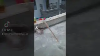 Untitled video