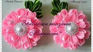 Заколочки 