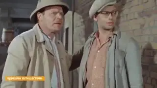 Лучшие приколы! Смешное видео! Смешные животные! Смешные приколы! Приколы! ТП! 248