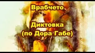 Врабчето - Диктовка(по Дора Габе) 3 клас