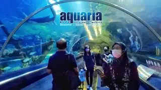 Aquarium Terbesar di Malaysia Aquaria KLCC | Largest Aquarium Ocean of Discovery - KL MCO 2021 (18)
