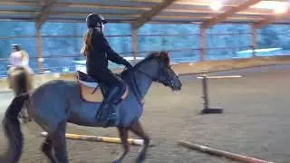 Horse Back Lesson on Gwen 🥰 (late)