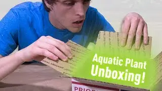 Aquatic Plant Unboxing from H2O Plants w/ Rare Plant