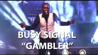 Busy Signal - The Gambler (Lyrics)