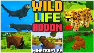 🦦WILD LIFE JUNGLE ADDON for BEDROCK | MINECRAFT PE (showcase) MARKETPLACE