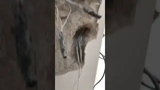 Гимн рукожопа