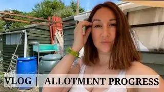 VLOG | ALLOTMENT PROGRESS