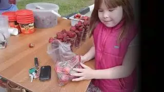 Любаша на Фестивале Клубники.Третий Фестиваль клубники в Балаково