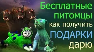 Авакин Лайф питомцы за донат бесплатно. Дарю подарки в Avakin Life победителям конкурса