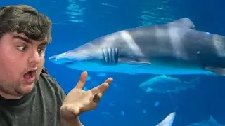 SCHOOL BUS DRIVER GETS PAID TO GO TO THE AQUARIUM!