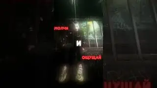 Я искал тебя всю жизнь 