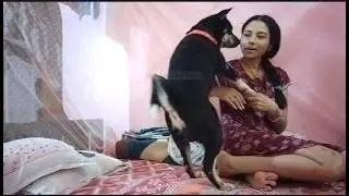 Before sleeping, my dog Shinchan’s night fun started