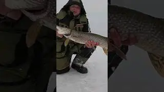 11 апреля  Полное видео на канале 