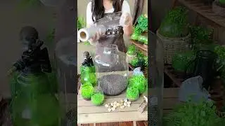 Aquatic grass and ornamental fish hight # 50 #fish #aquarium #aquariumfish