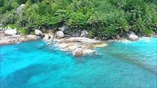 Ocean Ambience on a Tropical Island (Maldives) • Soothing Waves & Paradise View for Relaxation