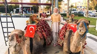 Feyza Hanım Deveyle Sokaklarda Geziyor