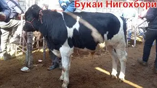 БУКАИ НИГОХБОРИ БОЗОРИ ХУДЖАНД23 октября 2023 г.