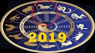 ГОРОСКОП НА 2019 ГОД ДЛЯ ЛОШАДИ
