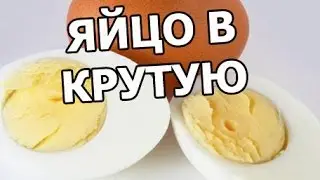 Как и сколько варить яйца в крутую. Яйцо тема!
