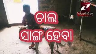 chala sanga heba |ପିଲାମାନେ କୁକୁର ସହ ସାଙ୍ଗହୋଇ ଖେଳୁଥିବାର ମଜା ଦୃଶ୍ୟ
