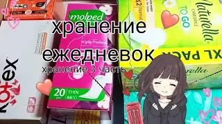 💮хранение ежедневок ✨🌷, хранение 3 часть 💄