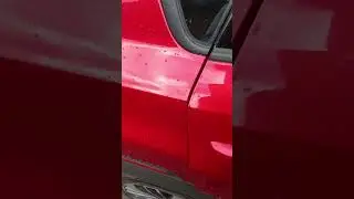 Новый конь