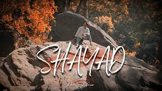 Shayad - Love Aaj Kal | Kartik | Sara | CINEMATIC