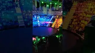 в цирке