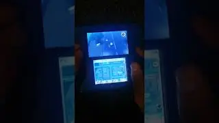 Ogralus in Ykw2 terror time #4