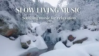 Slow living music | Calm piano music with beautiful winter And soothing music for relaxation