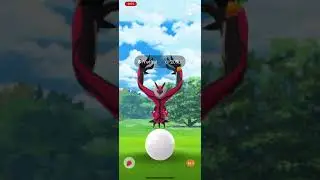 Pokémon Go - Level 5 Raid - Yveltal