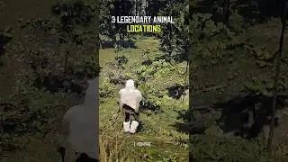 3 Legendary Animals Locations in Red Dead Redemption 2 (Part 2) 