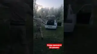 отдых в Астрахани #рыбалка #fishing #fish