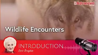 遇見野生動物 Wildlife Encounters