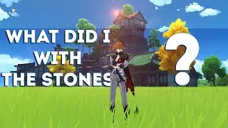 What did I with the stones? | Genshin Impact Serenitea Pot