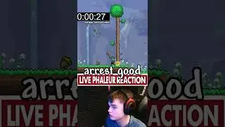 Terraria's Cardiac Arrest Mod